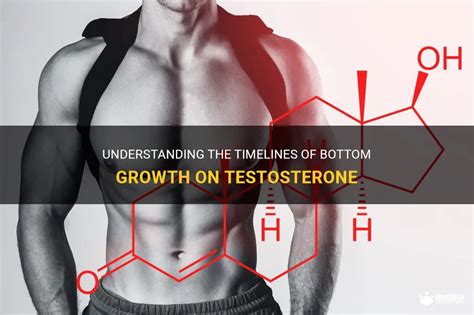 bottom growth on t before and after|Understanding The Timelines Of Bottom Growth On。